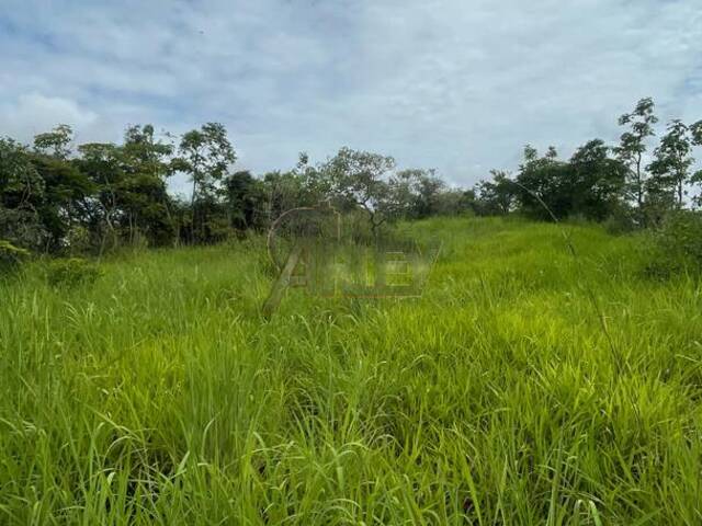 #5961 - IMÓVEIS RURAIS para Venda em Montes Claros - MG - 3