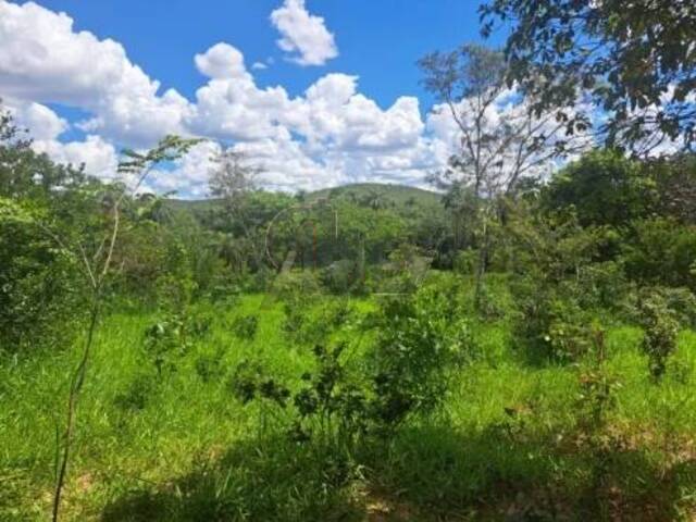 #5981 - IMÓVEIS RURAIS para Venda em Montes Claros - MG - 2