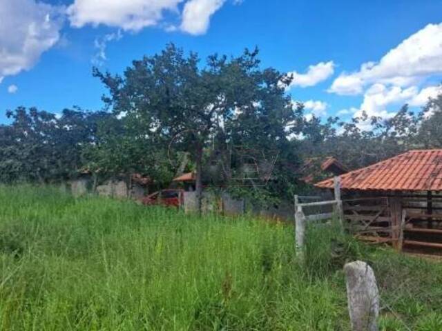 #5981 - IMÓVEIS RURAIS para Venda em Montes Claros - MG - 3