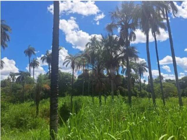 IMÓVEIS RURAIS para Venda em Montes Claros - 4