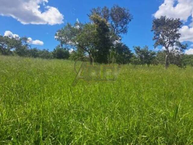 IMÓVEIS RURAIS para Venda em Montes Claros - 5