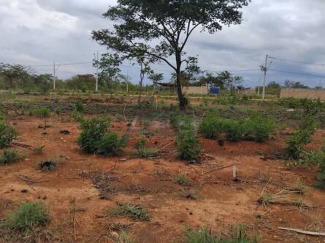 #6009 - LOTES PARTICULAR para Venda em Montes Claros - MG - 1