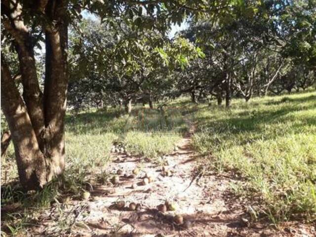 #6029 - IMÓVEIS RURAIS para Venda em Montes Claros - MG - 1