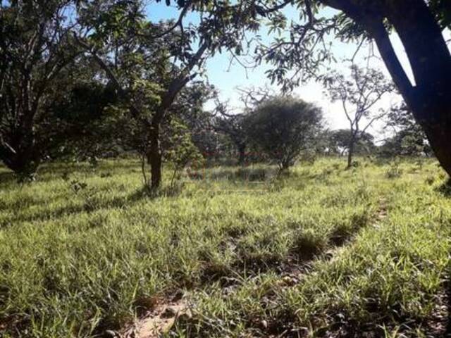 #6029 - IMÓVEIS RURAIS para Venda em Montes Claros - MG - 2