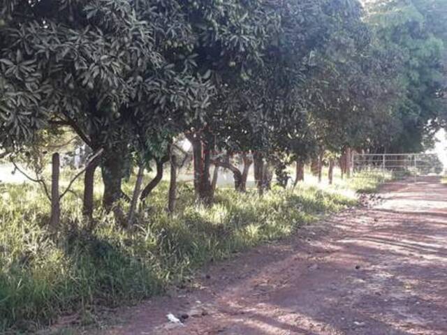 #6029 - IMÓVEIS RURAIS para Venda em Montes Claros - MG - 3