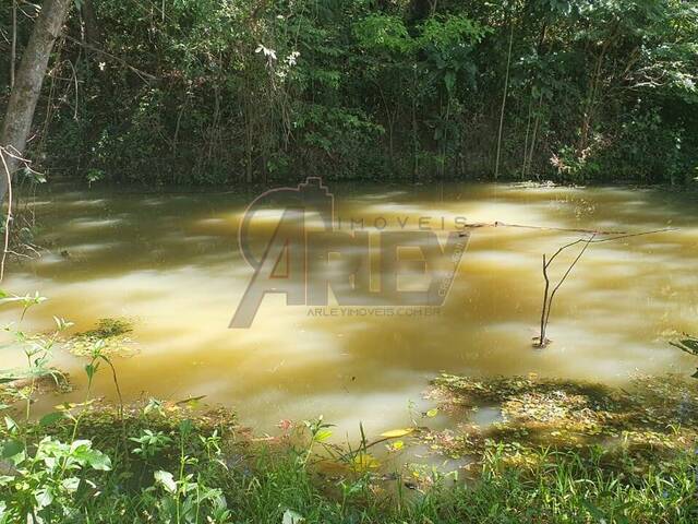 #6039 - IMÓVEIS RURAIS para Venda em Montes Claros - MG - 1