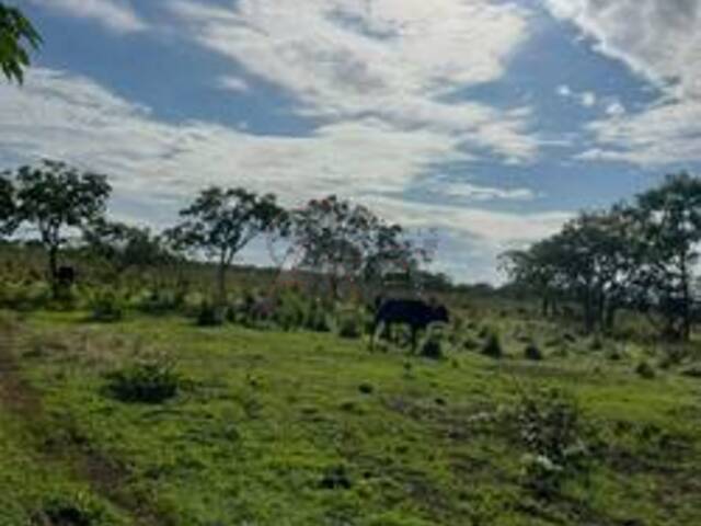 #6043 - IMÓVEIS RURAIS para Venda em Montes Claros - MG - 1
