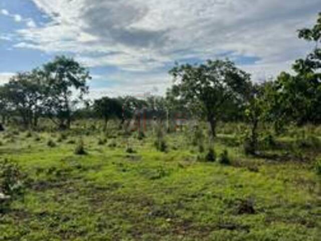 #6043 - IMÓVEIS RURAIS para Venda em Montes Claros - MG - 2