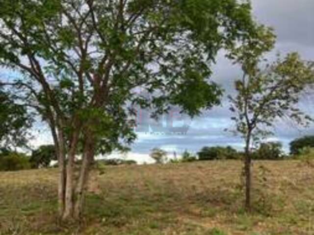 #6047 - IMÓVEIS RURAIS para Venda em Montes Claros - MG - 2