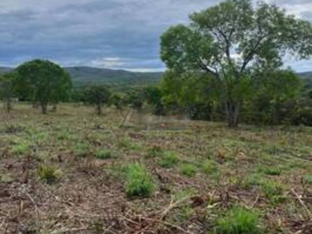 #6047 - IMÓVEIS RURAIS para Venda em Montes Claros - MG - 3