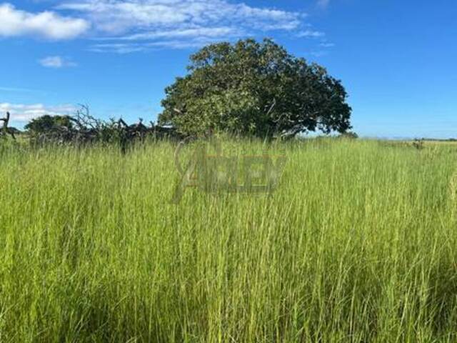#6063 - IMÓVEIS RURAIS para Venda em Montes Claros - MG - 1