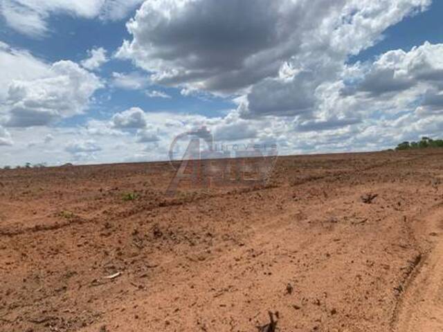 #6063 - IMÓVEIS RURAIS para Venda em Montes Claros - MG - 3