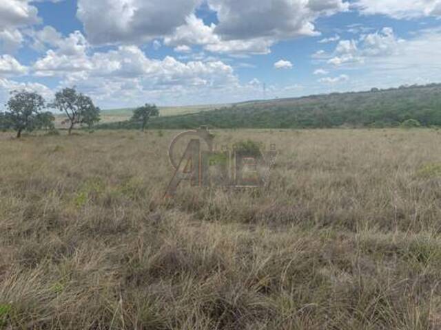 IMÓVEIS RURAIS para Venda em Montes Claros - 4