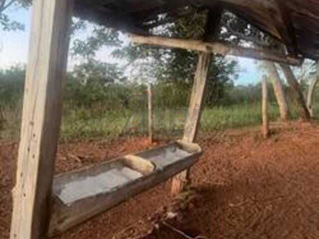 IMÓVEIS RURAIS para Venda em Montes Claros - 4