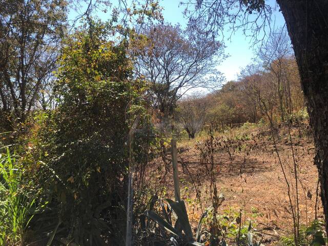IMÓVEIS RURAIS para Venda em Montes Claros - 4