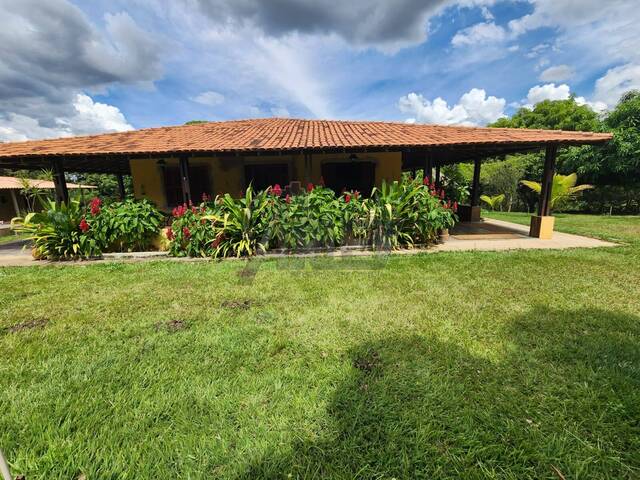 #6123 - IMÓVEIS RURAIS para Venda em Montes Claros - MG - 3