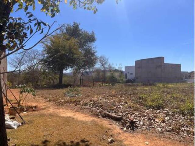 #6166 - LOTES EM CONDOMINIO para Venda em Montes Claros - MG - 3