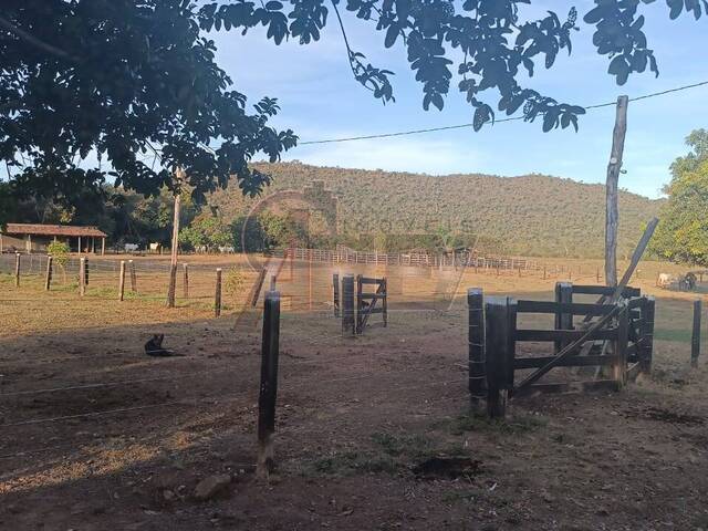 #6220 - IMÓVEIS RURAIS para Venda em Montes Claros - MG - 2