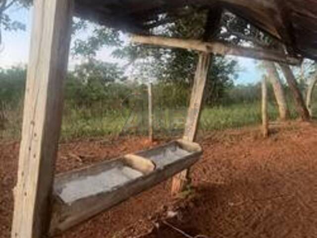 #6227 - IMÓVEIS RURAIS para Venda em Montes Claros - MG - 3