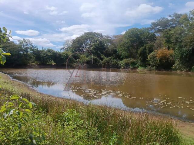 #6231 - IMÓVEIS RURAIS para Venda em Montes Claros - MG - 3