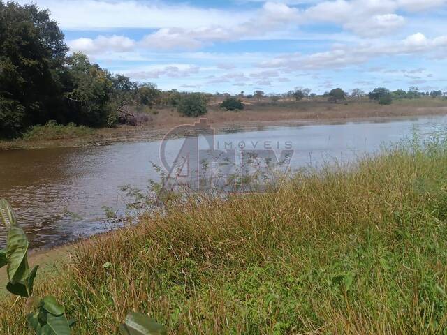IMÓVEIS RURAIS para Venda em Montes Claros - 5