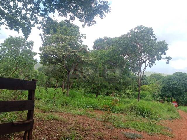 IMÓVEIS RURAIS para Venda em Montes Claros - 5