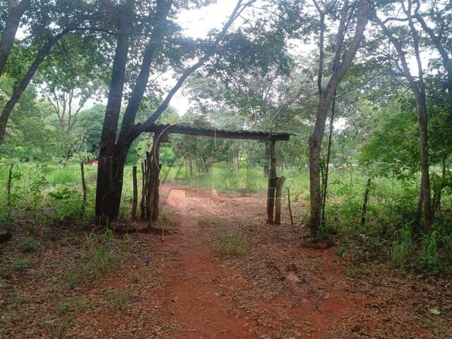 Venda em Área Rural do Norte de Minas - Montes Claros