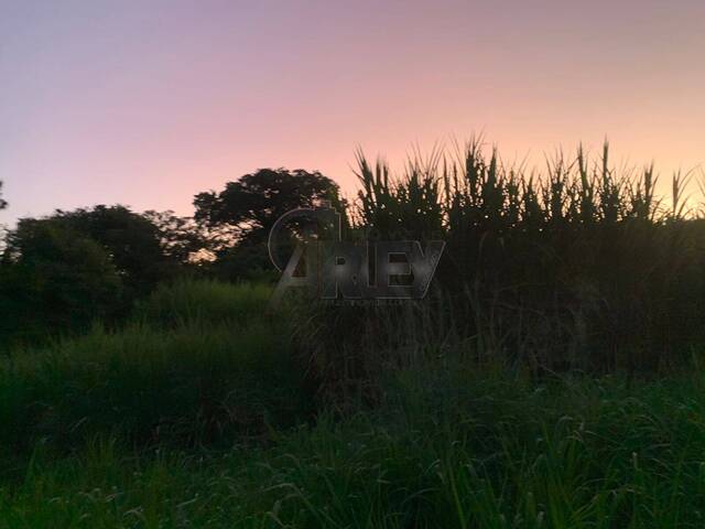 Venda em Área Rural do Norte de Minas - Montes Claros
