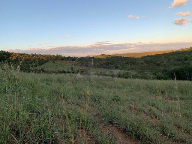 IMÓVEIS RURAIS para Venda em Montes Claros - 4