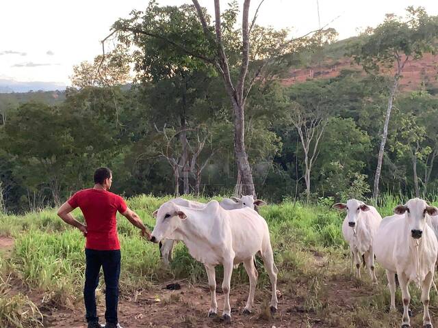 IMÓVEIS RURAIS para Venda em Montes Claros - 5
