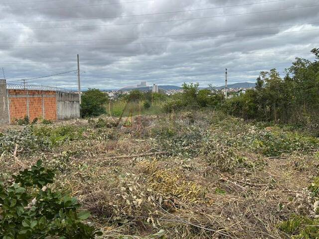 LOTES PARTICULAR para Venda em Montes Claros - 4
