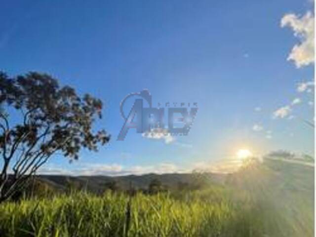 #6252 - IMÓVEIS RURAIS para Venda em Montes Claros - MG - 2