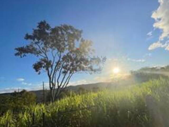 #6252 - IMÓVEIS RURAIS para Venda em Montes Claros - MG - 3