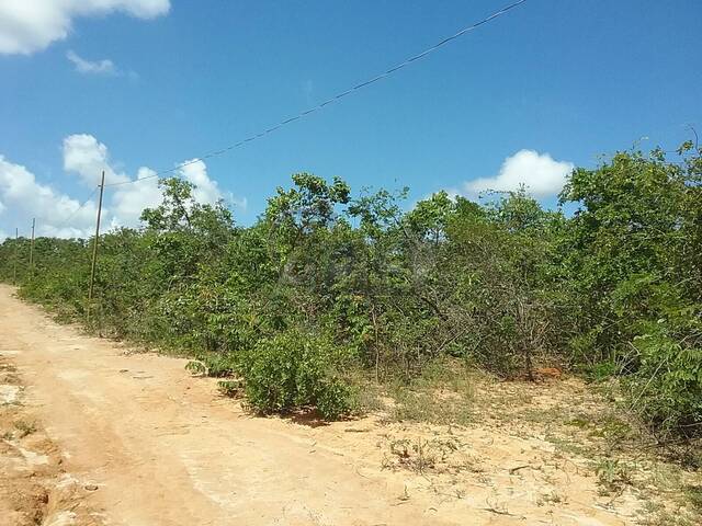 #6272 - IMÓVEIS RURAIS para Venda em Montes Claros - MG - 1
