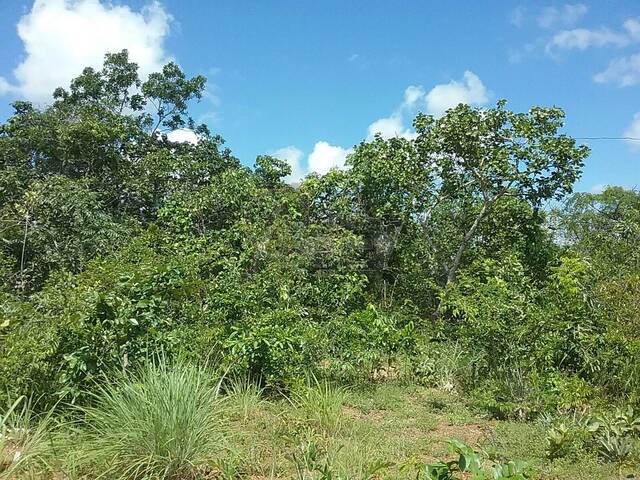 #6272 - IMÓVEIS RURAIS para Venda em Montes Claros - MG - 2