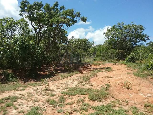 #6272 - IMÓVEIS RURAIS para Venda em Montes Claros - MG - 3