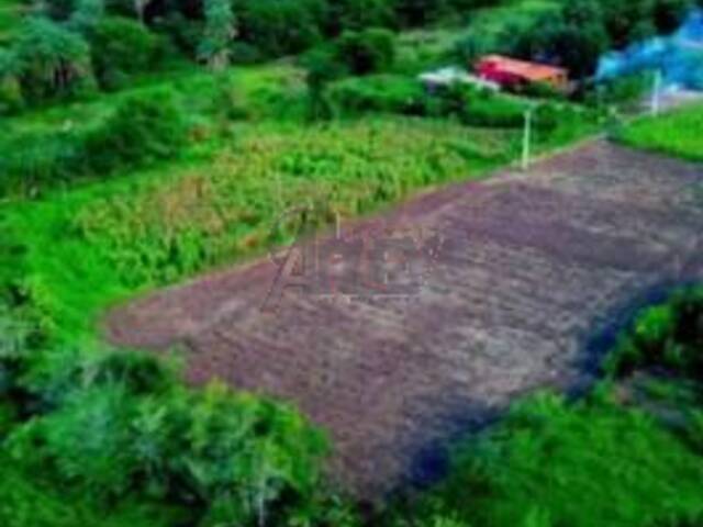 #6273 - IMÓVEIS RURAIS para Venda em Montes Claros - MG - 1