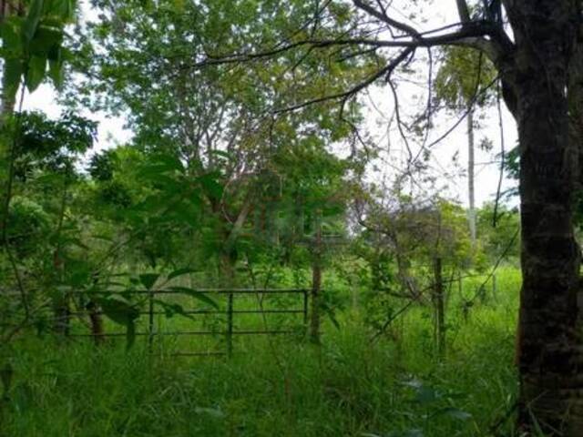 #6273 - IMÓVEIS RURAIS para Venda em Montes Claros - MG - 2