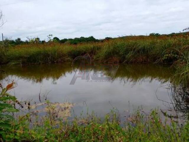 #6273 - IMÓVEIS RURAIS para Venda em Montes Claros - MG - 3