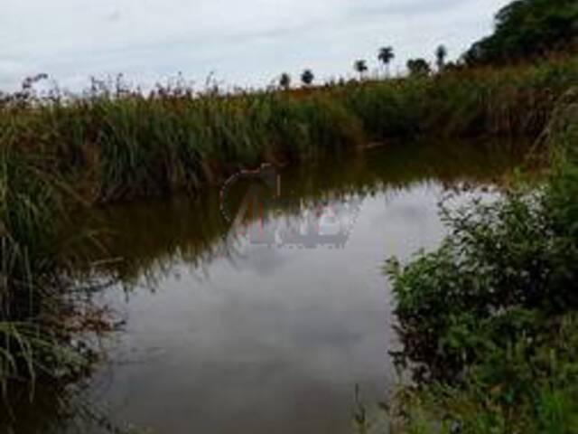 IMÓVEIS RURAIS para Venda em Montes Claros - 5