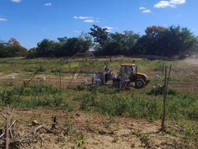 #6281 - IMÓVEIS RURAIS para Venda em Montes Claros - MG - 1