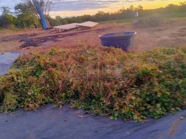 #6281 - IMÓVEIS RURAIS para Venda em Montes Claros - MG - 2
