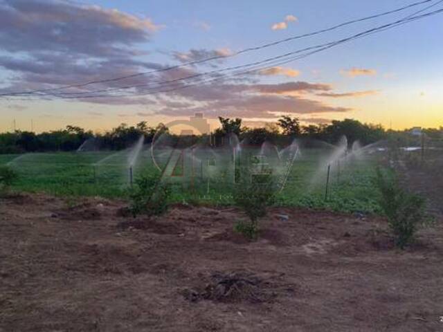 #6281 - IMÓVEIS RURAIS para Venda em Montes Claros - MG - 3
