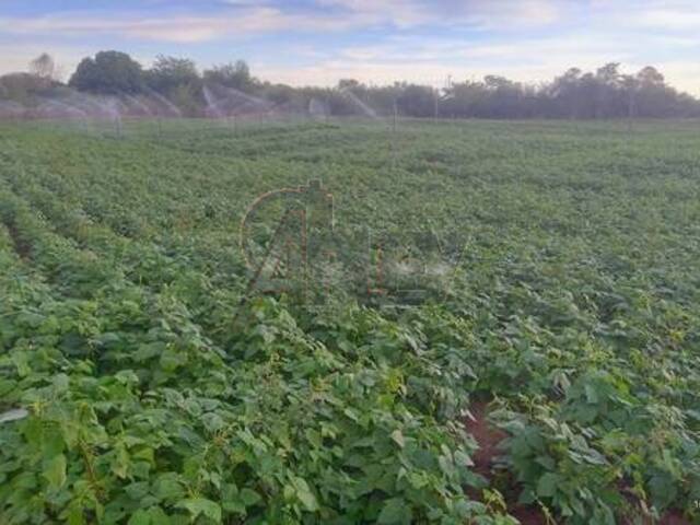 IMÓVEIS RURAIS para Venda em Montes Claros - 4