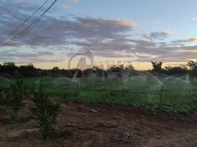 IMÓVEIS RURAIS para Venda em Montes Claros - 5