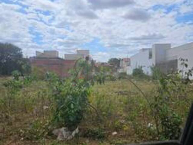 #6294 - LOTES PARTICULAR para Venda em Montes Claros - MG - 3