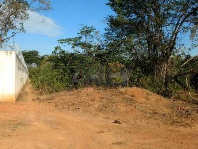 IMÓVEIS RURAIS para Venda em Montes Claros - 4