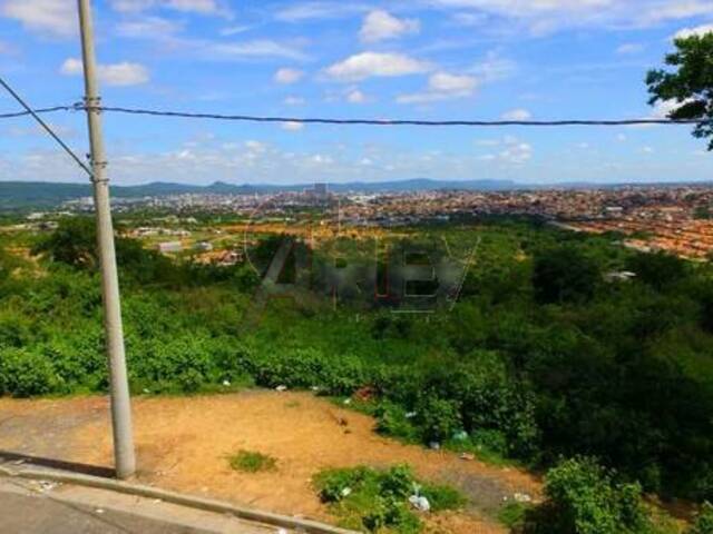 #6333 - LOTES PARTICULAR para Venda em Montes Claros - MG - 1