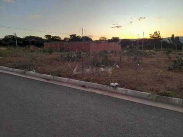 #6379 - IMÓVEIS RURAIS para Venda em Montes Claros - MG - 3