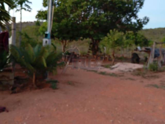 #6487 - IMÓVEIS RURAIS para Venda em Montes Claros - MG - 2